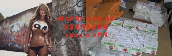 прущие грибы Лагань
