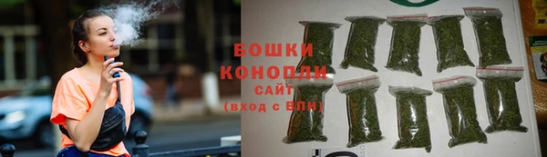 прущие грибы Лагань
