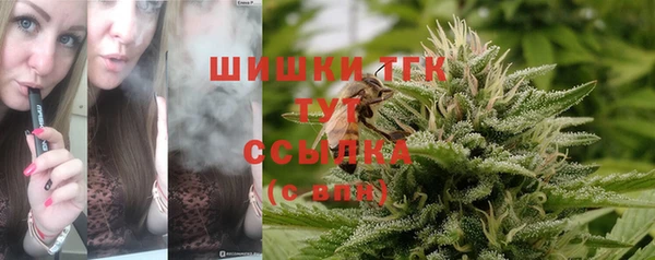 мяу мяу мука Кулебаки
